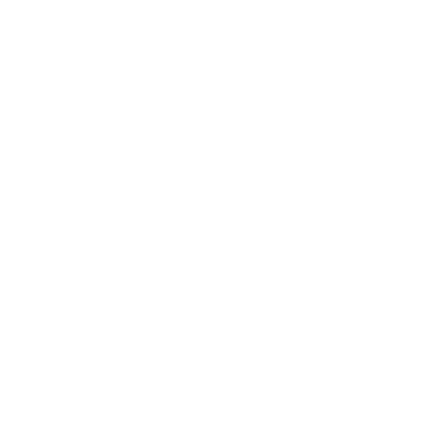 BURGR'S CLUB LEDNICE